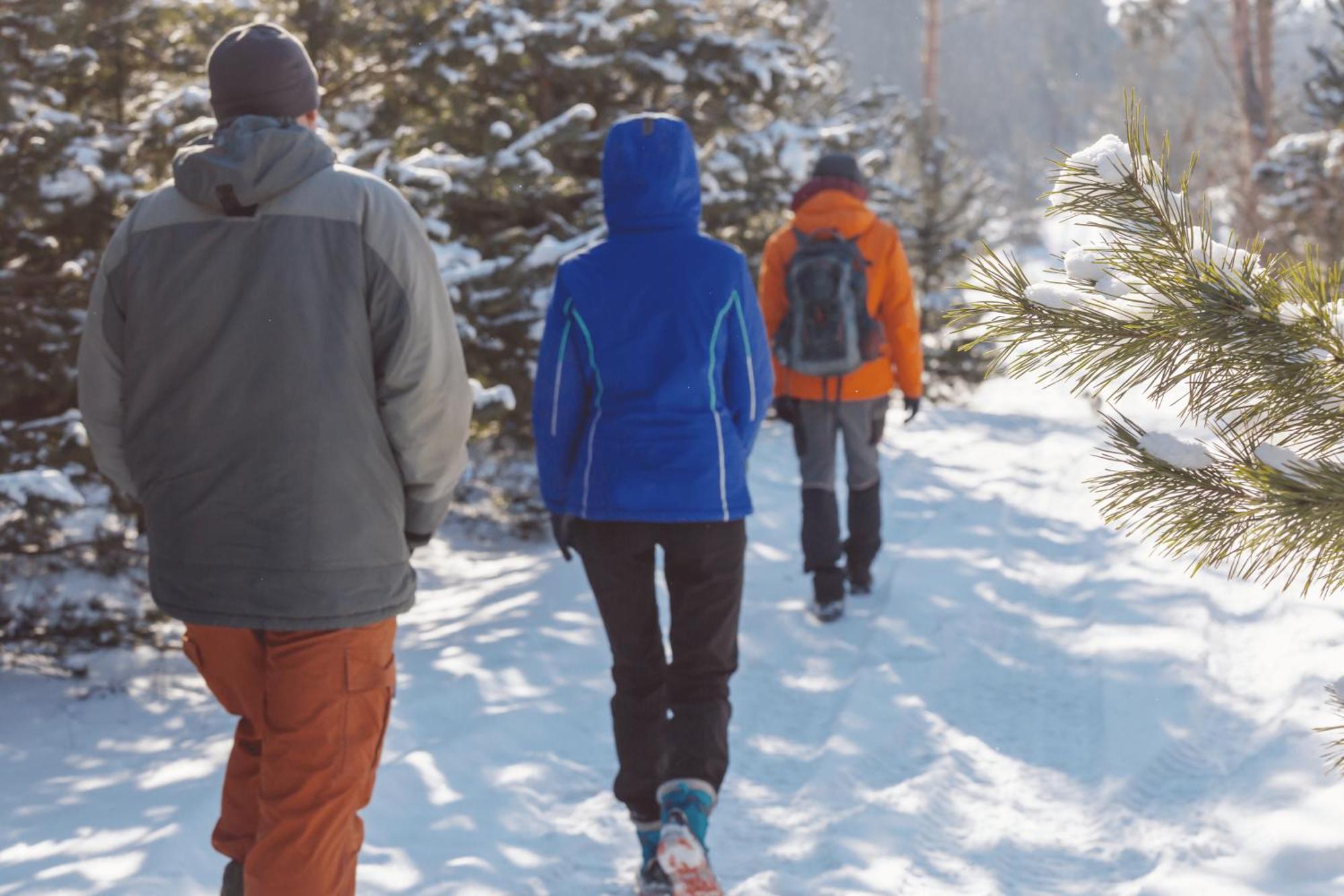 Charmant T3 Avec Vue Montagne Et Parking Privatif Font Romeu Exterior foto