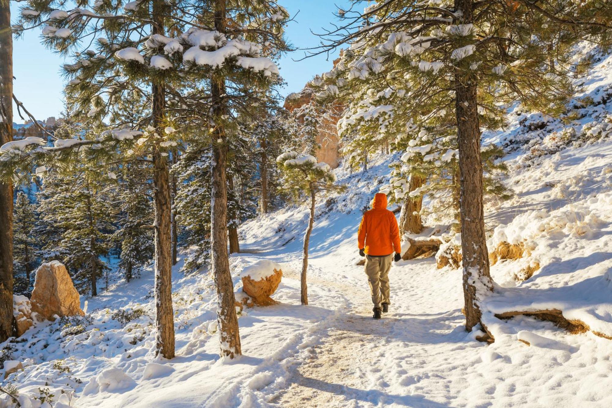 Charmant T3 Avec Vue Montagne Et Parking Privatif Font Romeu Exterior foto